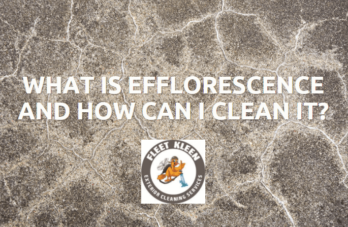 What Is Efflorescence And How Can I Clean It?